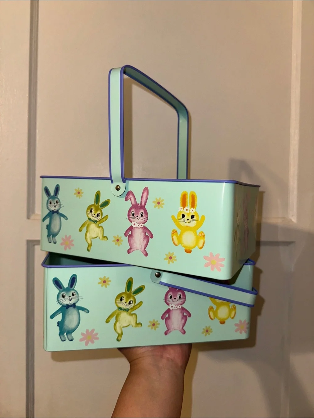 Spritz Easter Bunny Container Baskets